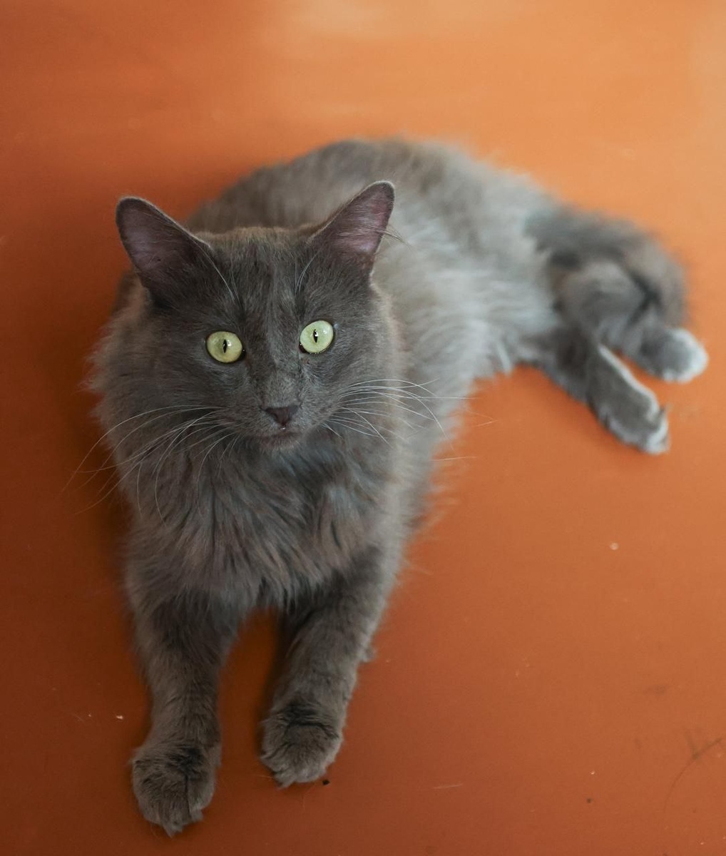 Это я уже весь в предвкушении дома