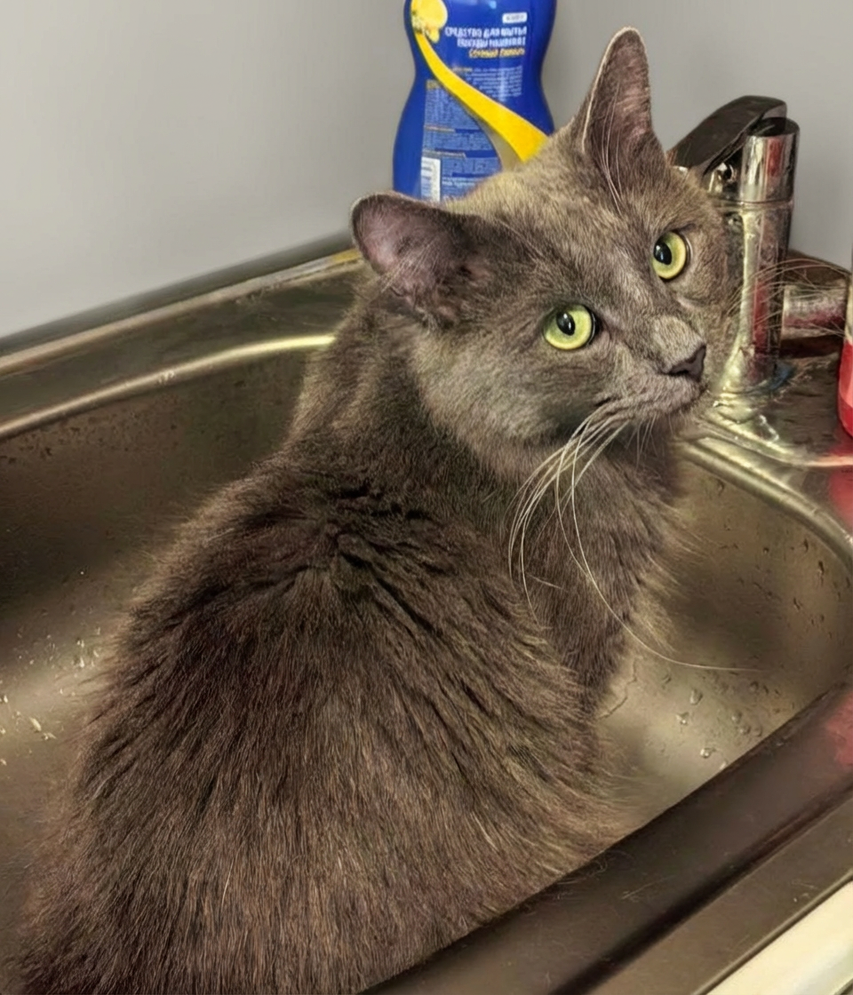 Перед тем, как на диван-то ехать, надо душ принять