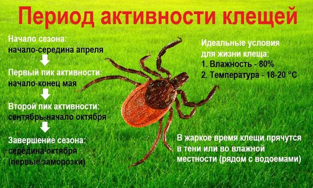 Фотография из интернета