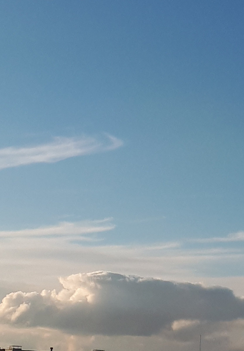 Фото автора 23.11.2025г.