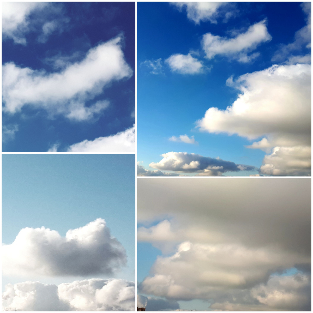 Коллаж автора 23.11.2025г.