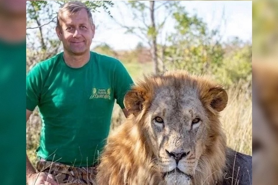    Олег Зубков оставил напавшего на него льва в прайде. Фото: "Тайган"/Vk