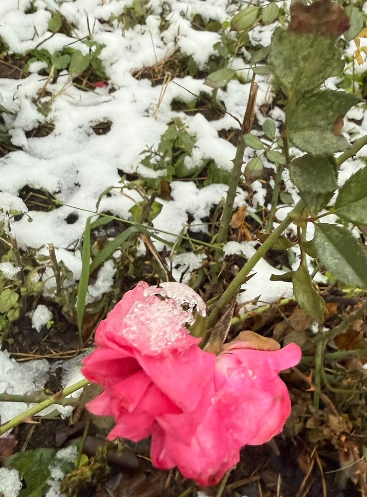 Фото Маргариты Виталиной