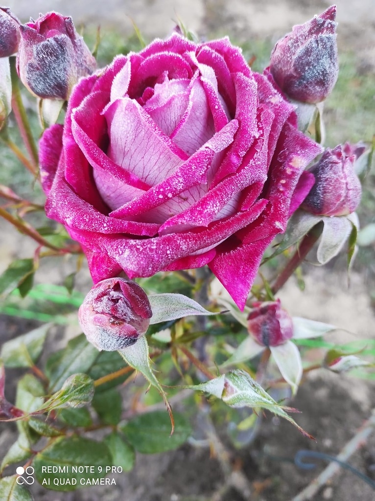 Фото Маргариты Виталиной