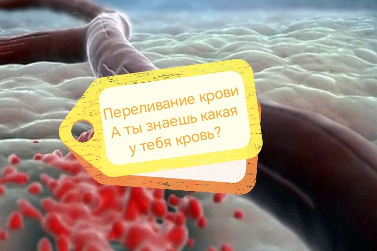 Переливание и свёртывание крови. Что важно знать каждому?