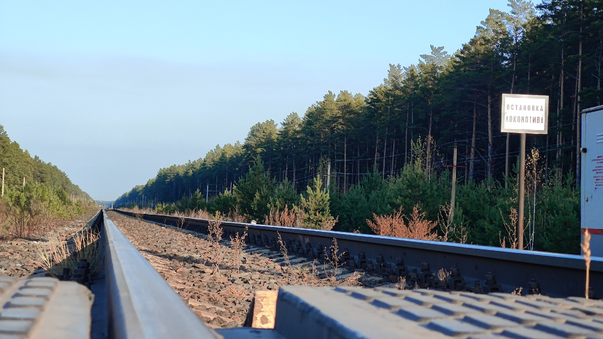 Дорога идёт не вдаль. А внутрь.