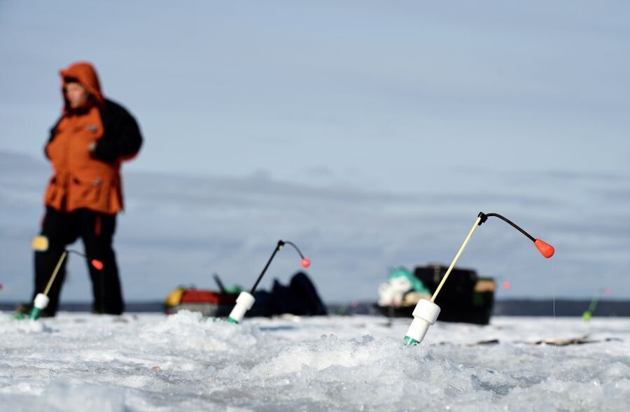     / Источник: © Алексей Даничев/РИА Новости