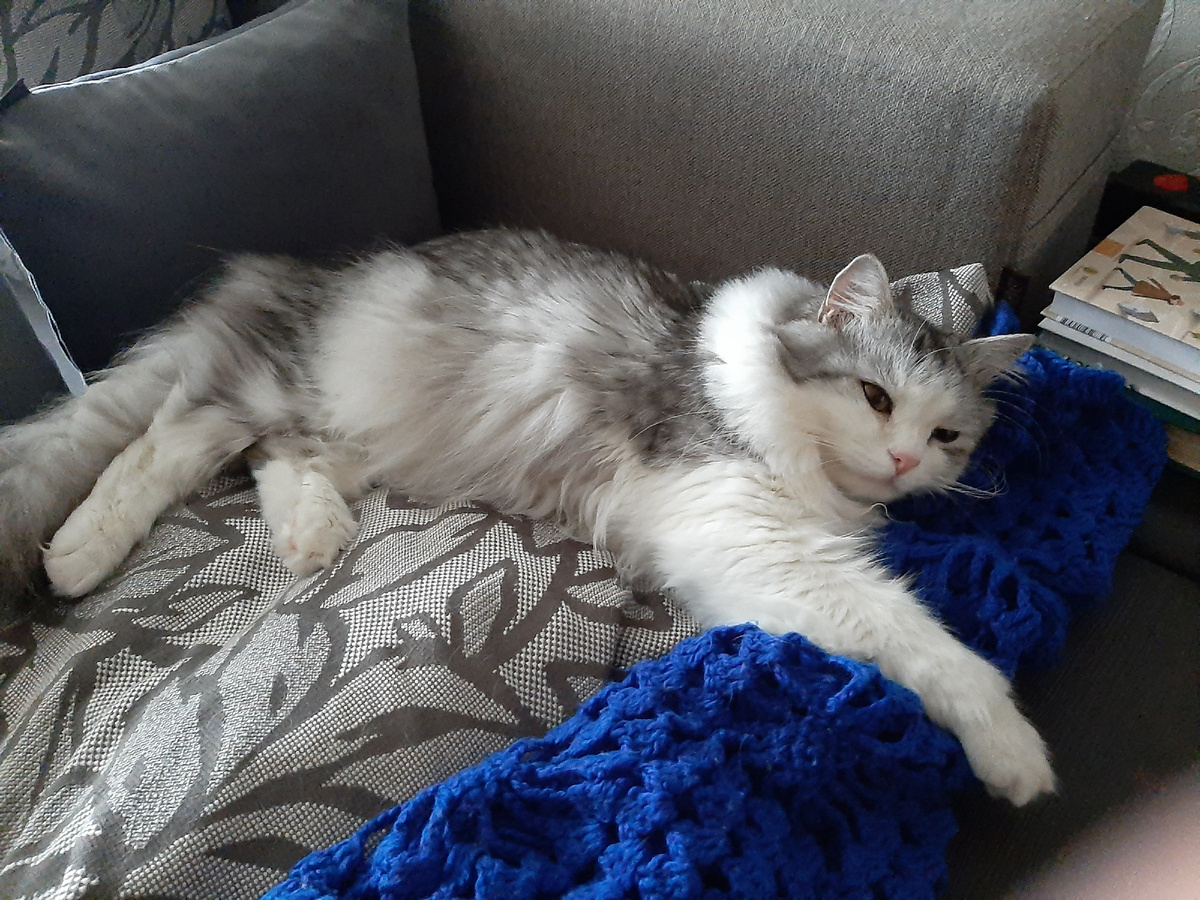 Самое любимое место - диванная большая подушка