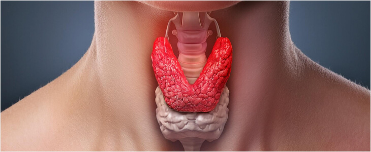 Щитовидка в порядке — и жизнь в порядке: 5 незаменимых помощников, без которых ваша железа не сможет работать