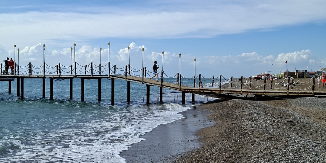 Как я почти привезла пуделя из Череповца, но он превратился в Турцию