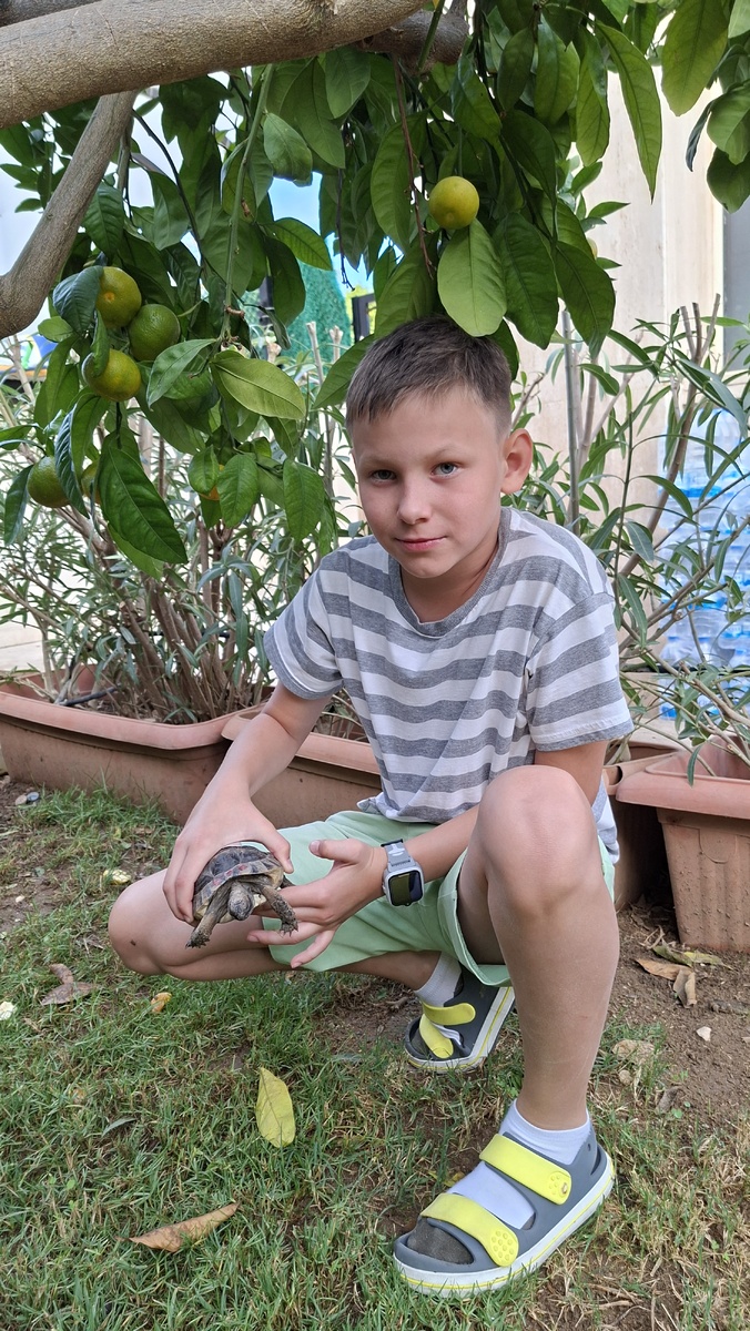 Турция, ноябрь 2025