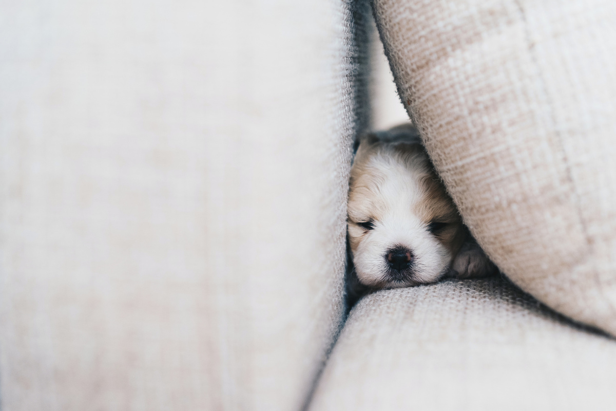 источник фото: https://community.thriveglobal.com/wp-content/uploads/2019/01/GettyImages-930133264.jpg