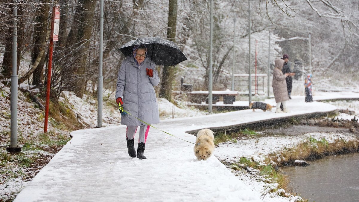   Олег Елков / ТАСС