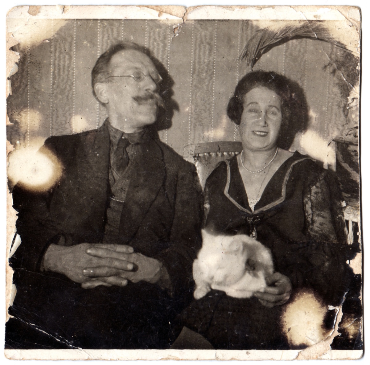 П. И. и Н. И. Соколовы