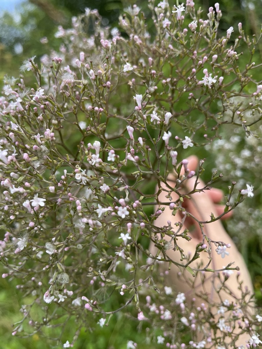 Забота о себе — это жизнь в естественной лёгкости