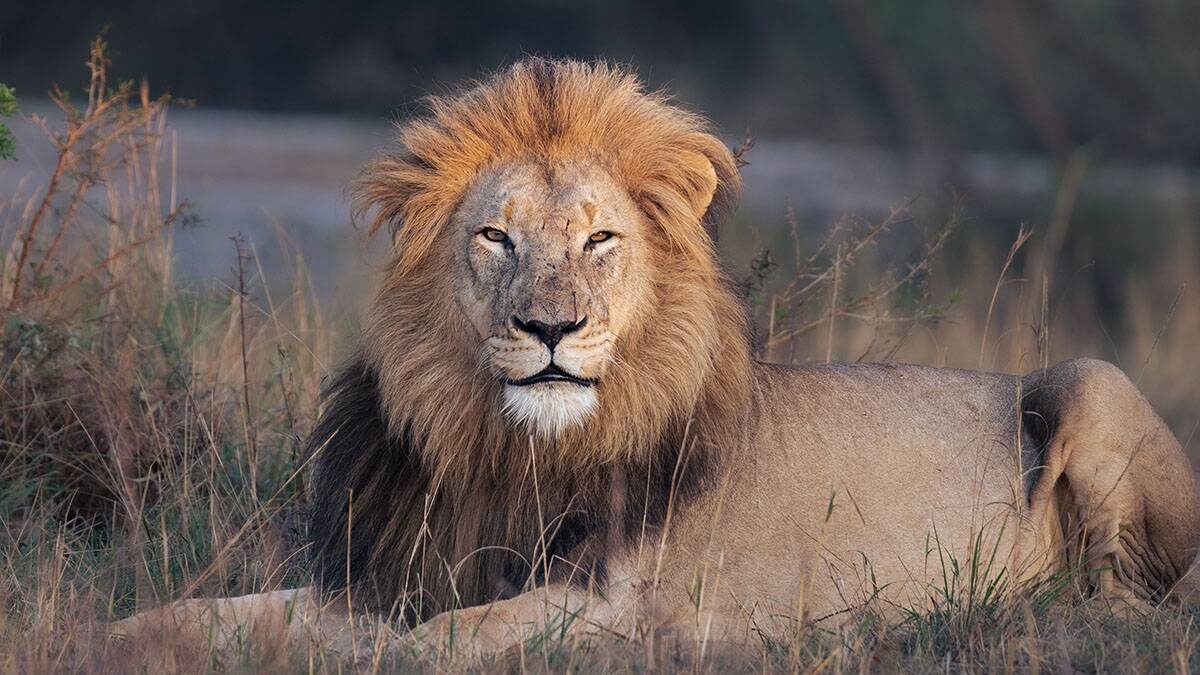    Фото: Shutterstock