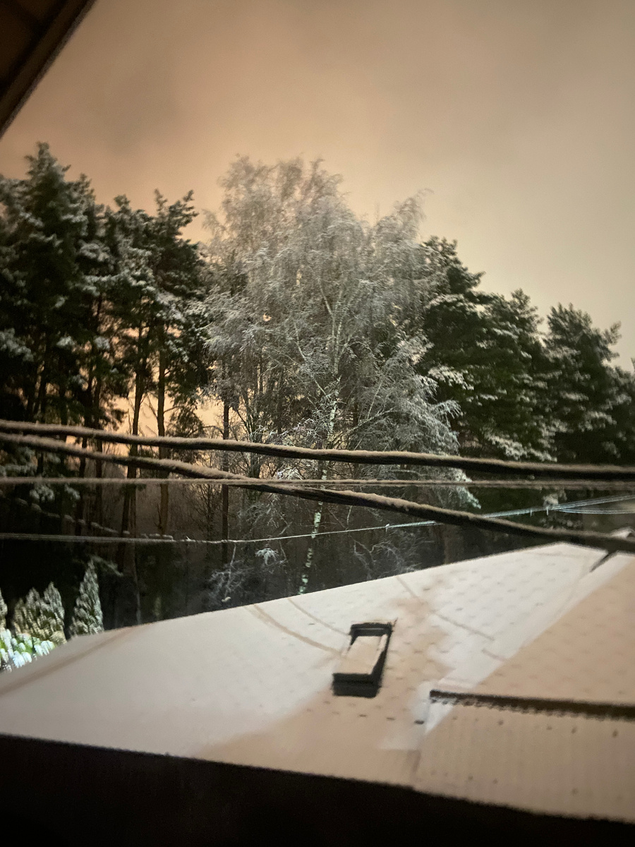 Ночь из окна домика. Наши проекты "Мяулиса", "Привет, дневник", "Время идей".