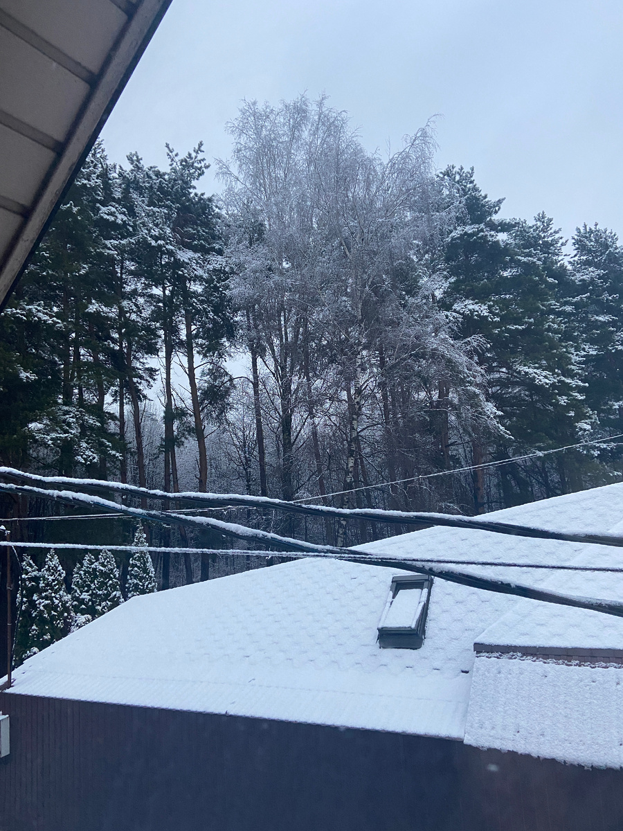 А вот такое сегодня было утро из того же окна. Наши проекты "Мяулиса", "Привет, дневник", "Время идей".