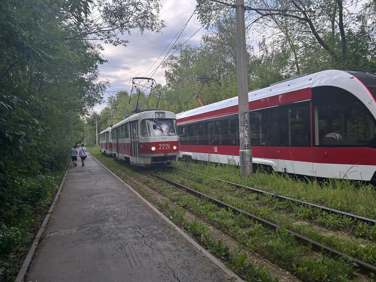    Фото: Анастасия Максименко