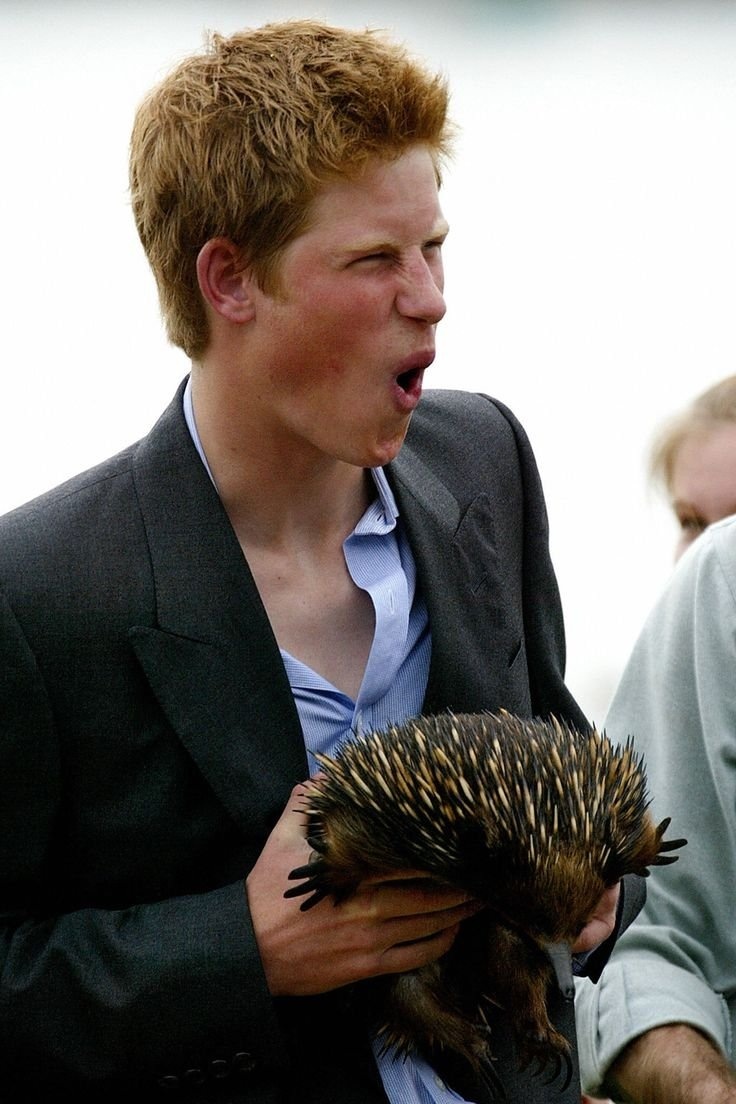 фото из яндекса