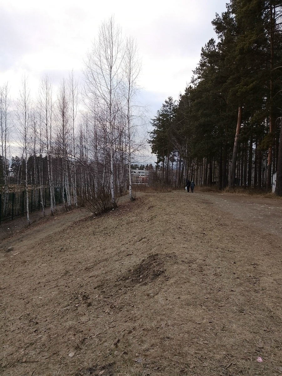 20 ноября на прогулке