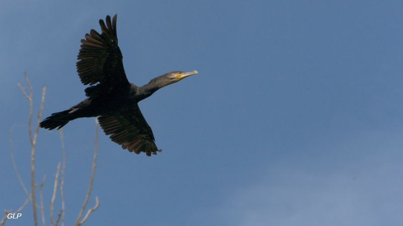 Источник новости: https://www.vesti.ru/article/4783627