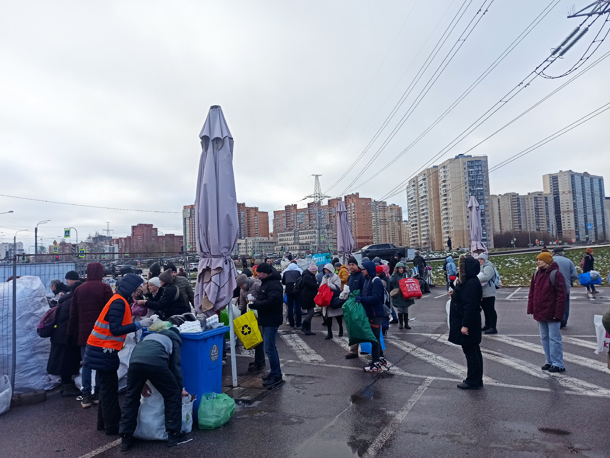 Сдавать и не сдаваться! 