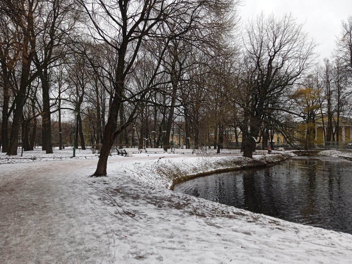 Преследуют вперемешку вороны и чайки.