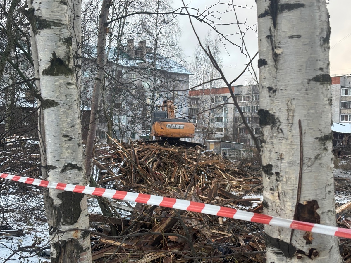    Александр Гнетнев