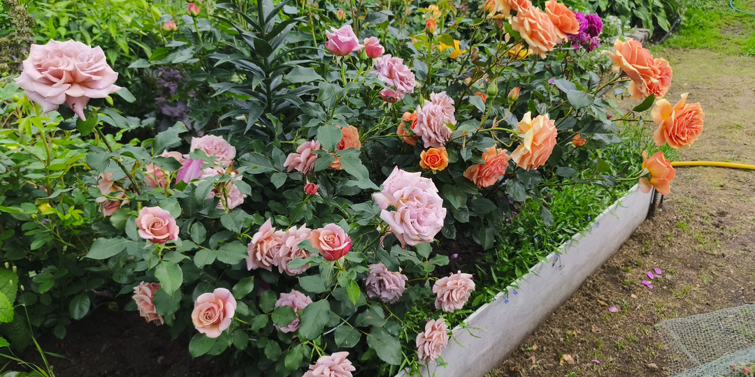 Давайте посчитаем...1