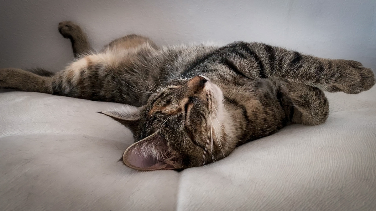 Лана - специалист по йоге