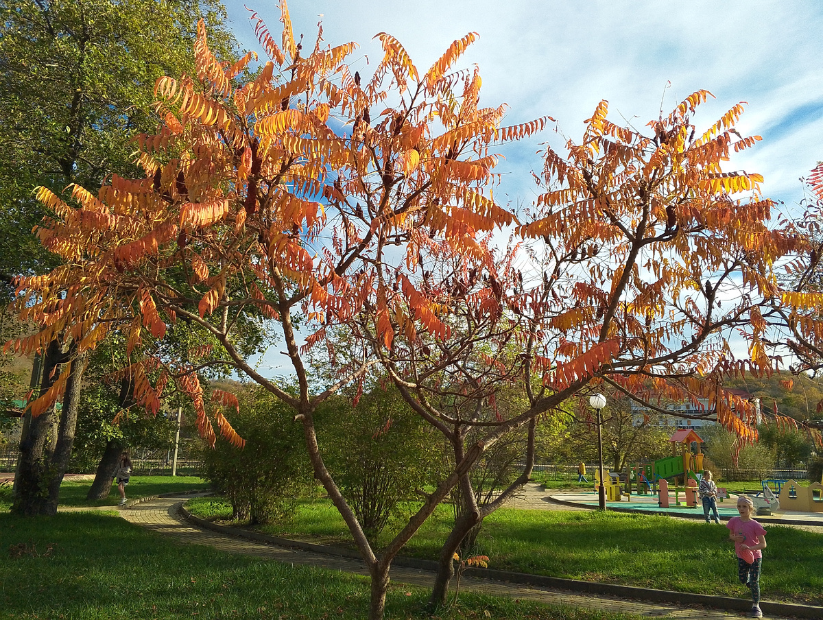 Вот такой денек был  - тепло и красиво