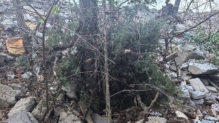    пресс-служба прокуратуры Краснодарского края Юлия Виноградова