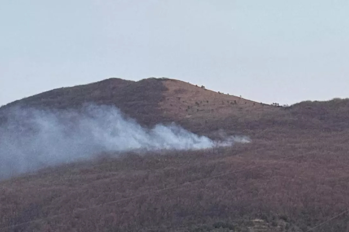    Фото: Минприроды Краснодарского края, источник: Telegram