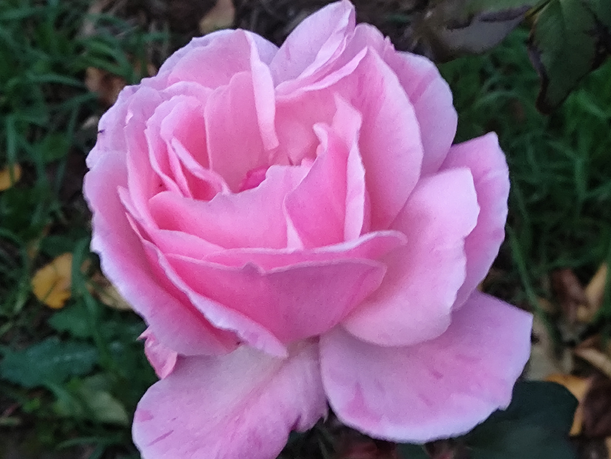 Ну как можно мимо вот такого пройти?