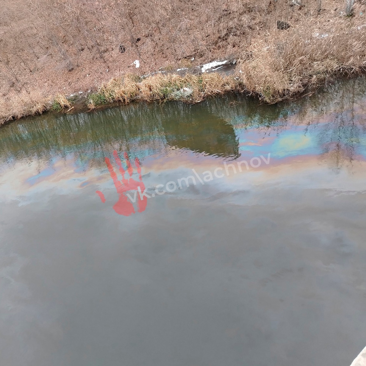 Вот так выглядит пятно. Видны бензиновые разводы