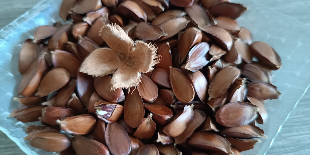 Что мы привезли из Архыза