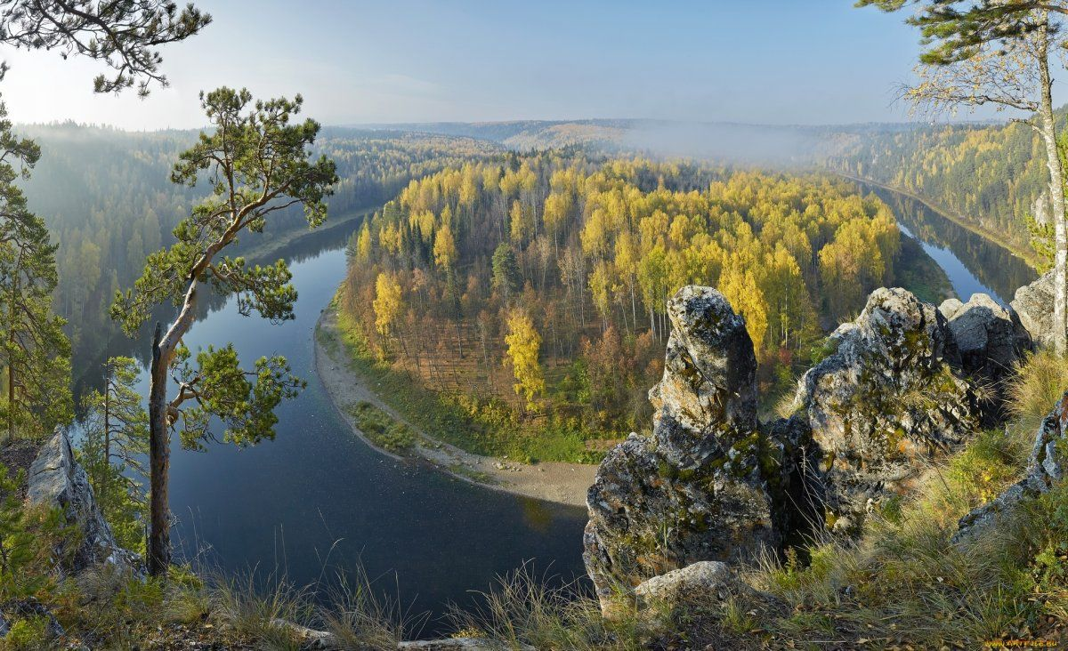 Яндекс картинки