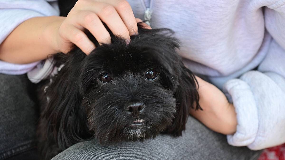    Фото: Сергей Киселев / АГН Москва