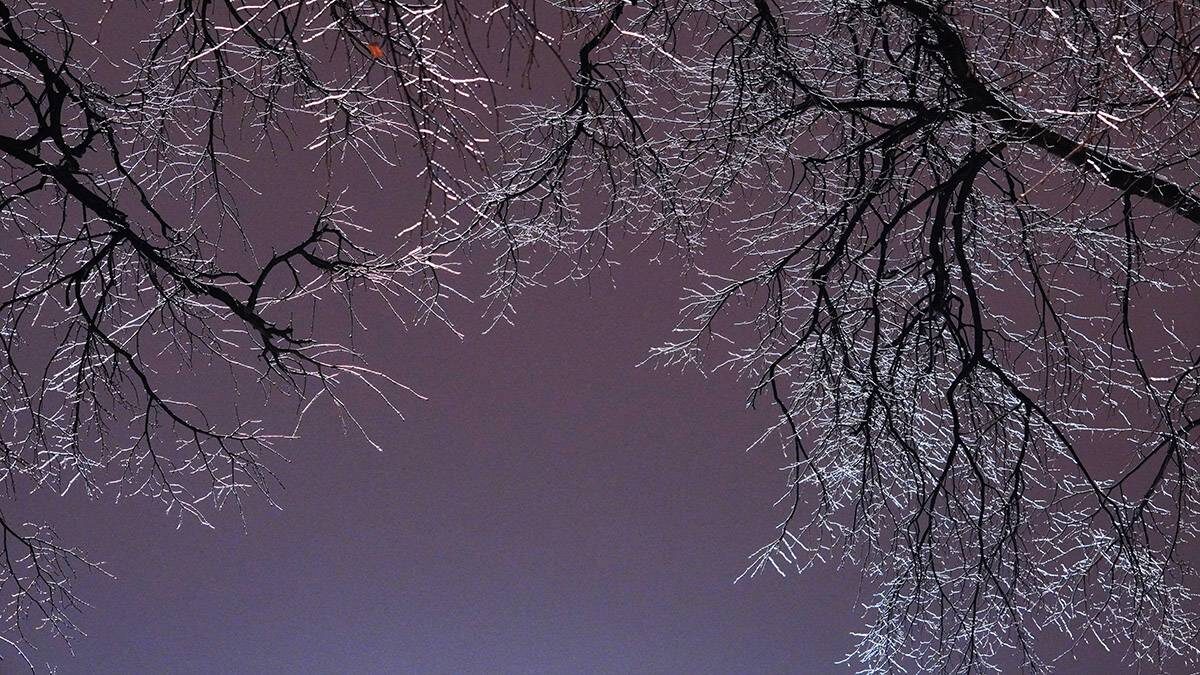    Фото: Анатолий Цымбалюк / Вечерняя Москва