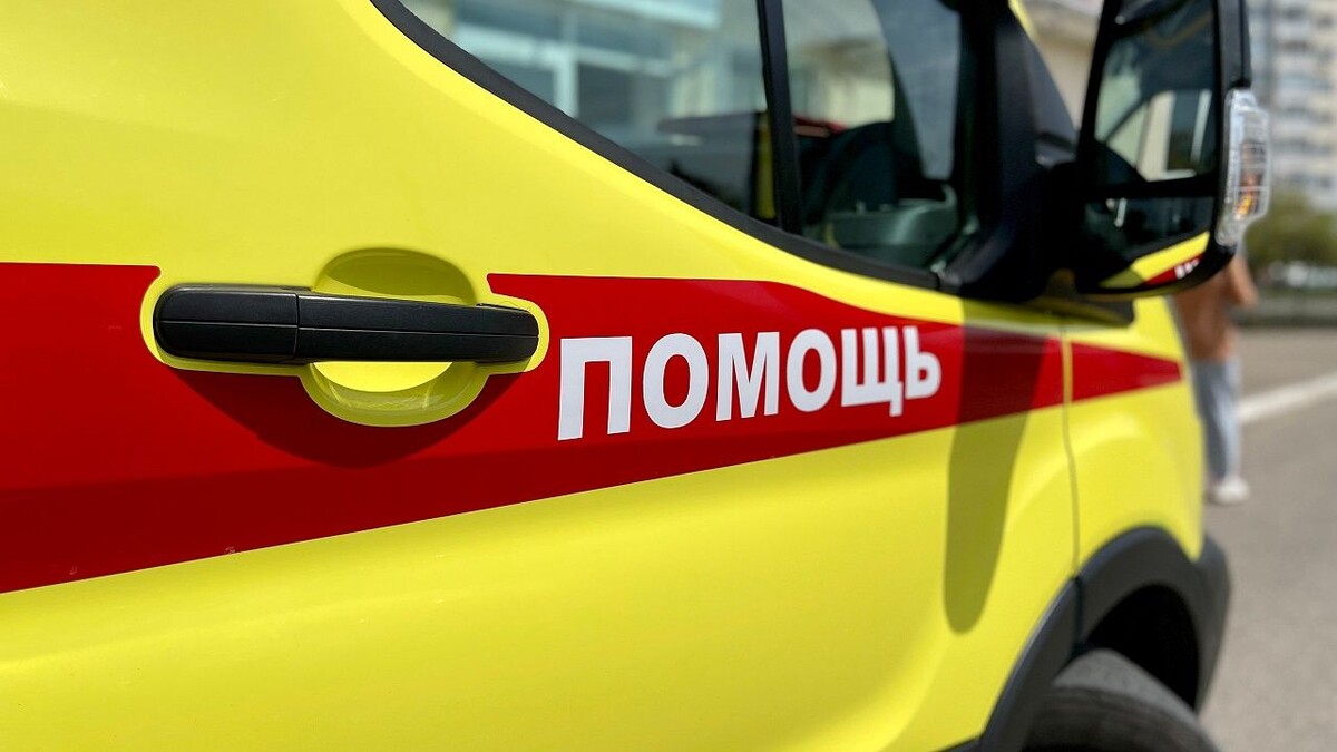    Фото: телеканал «Краснодар»