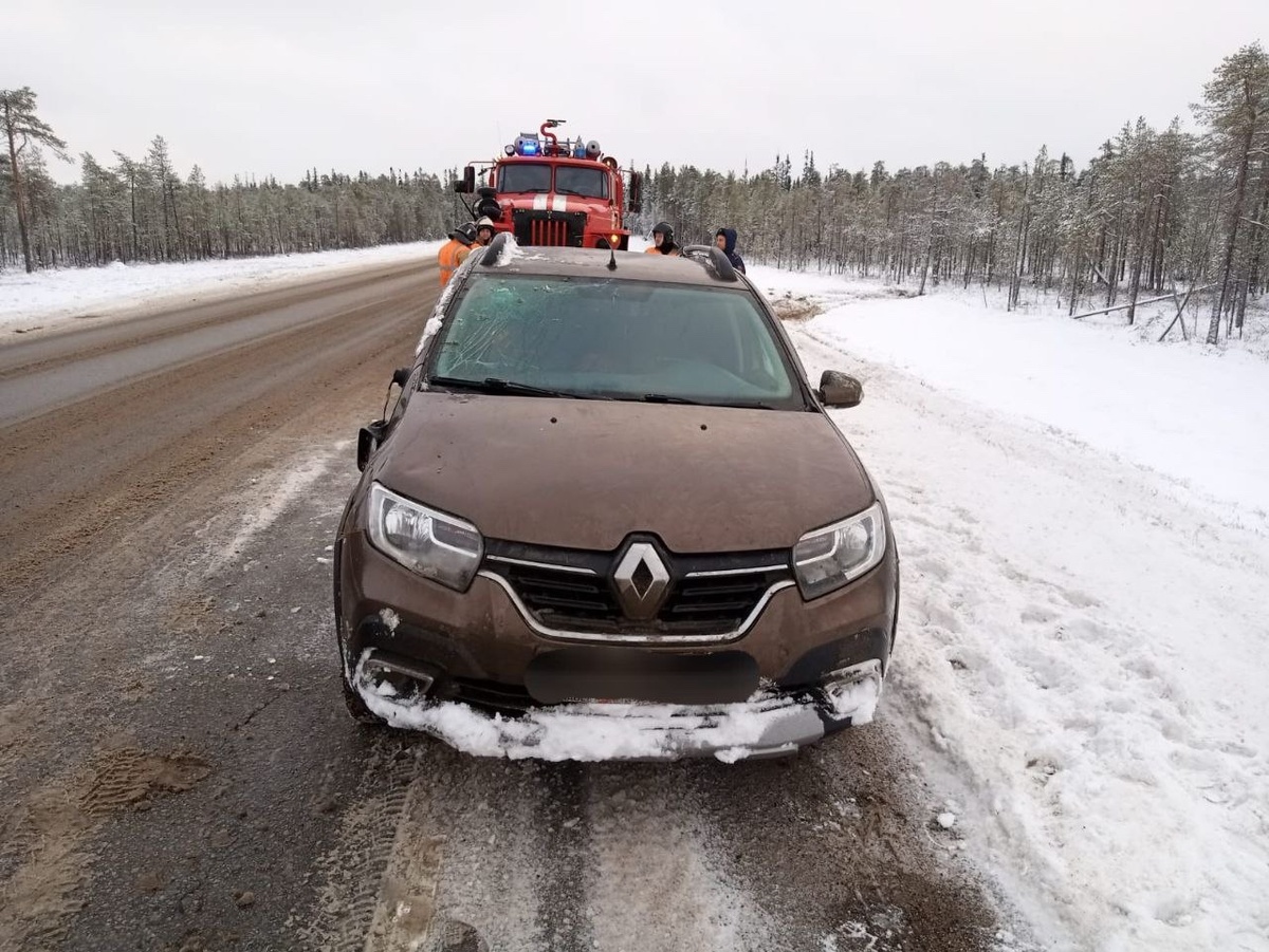    В Карелии на трассе «Кола» произошло два ДТП за час© Госкомитет Карелии по безопасности