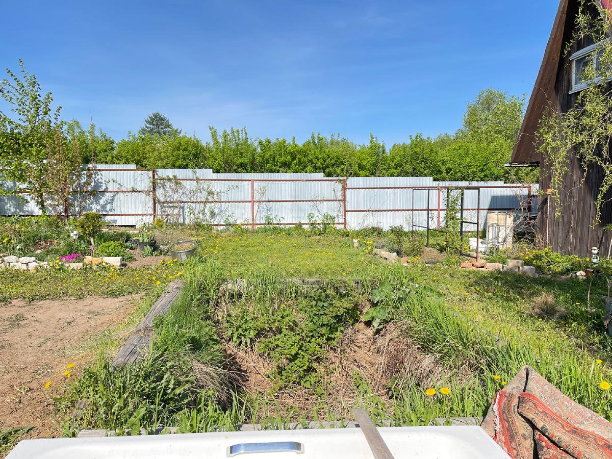 Летом скашивали вокруг неё бурьян из травы, крапивы, малина даже полезла.