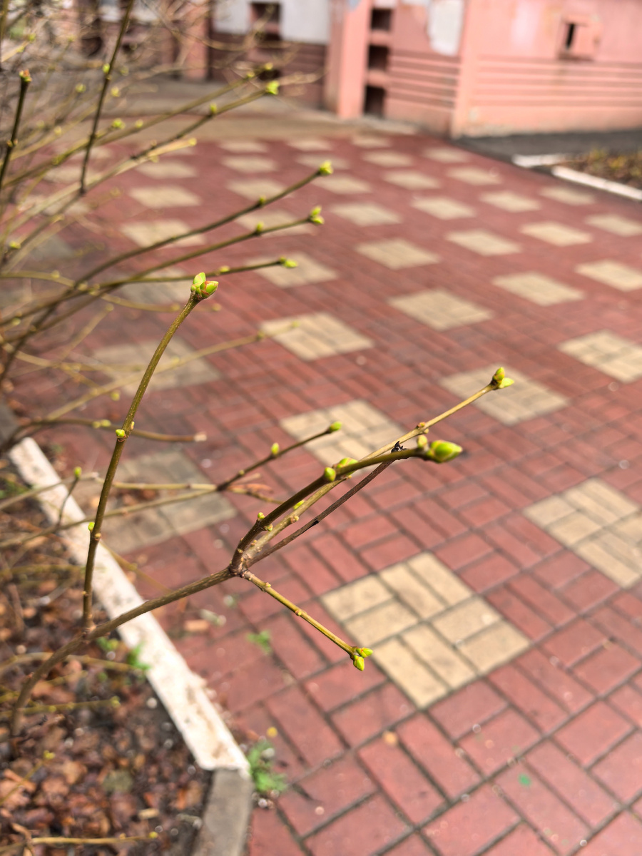 Фото автора