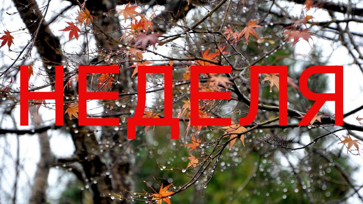 Ноябрь. Фото в свободном доступе.