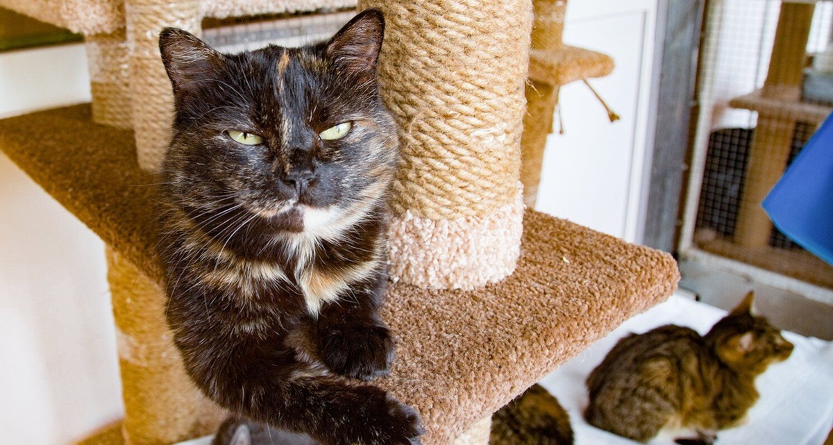 Фото из Интернета. 