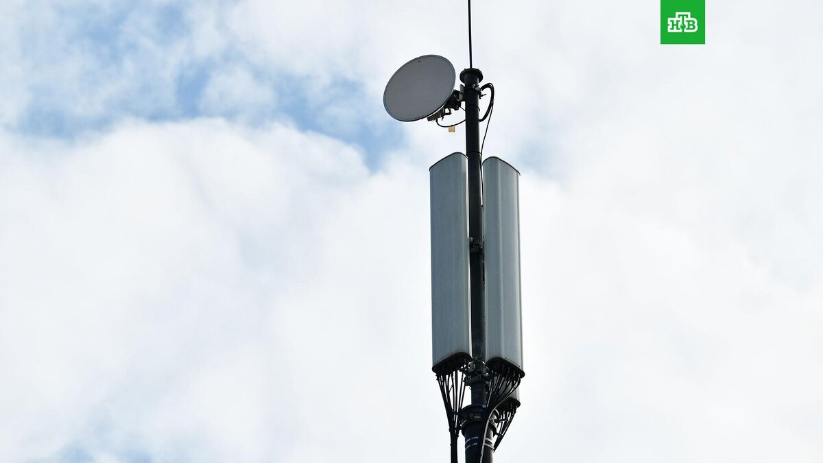    Фото: РИА Новости © 2025, Михаил Воскресенский