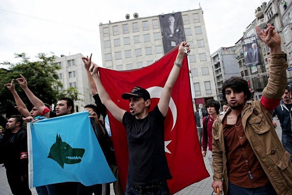 Серые волки...