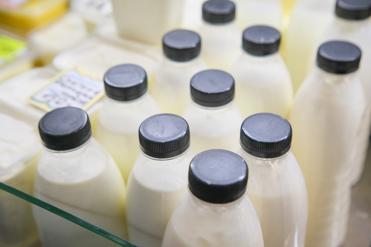 © Фото: ИД «Волгоградская правда» / архив.