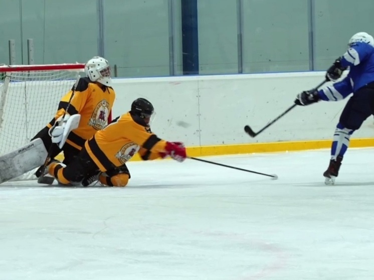     Фото: ледовый дворец "Джунгар"